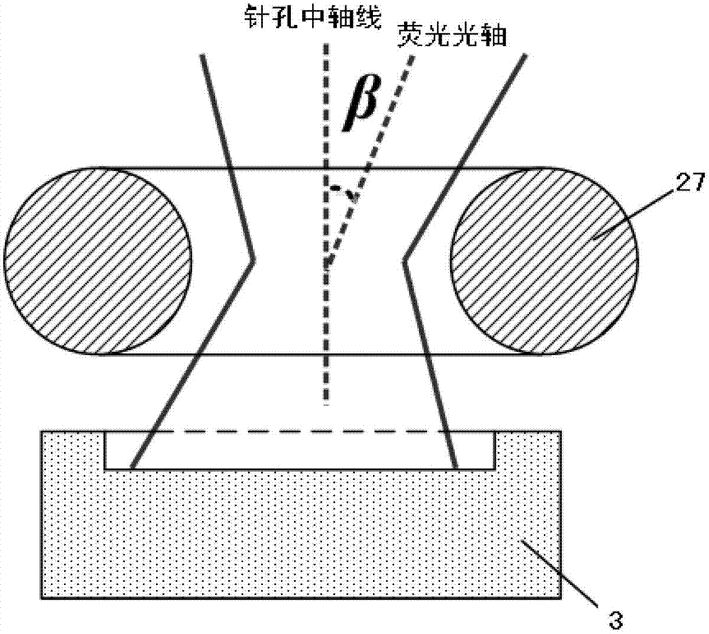 Method and system of laser scanning phase-microscope imaging