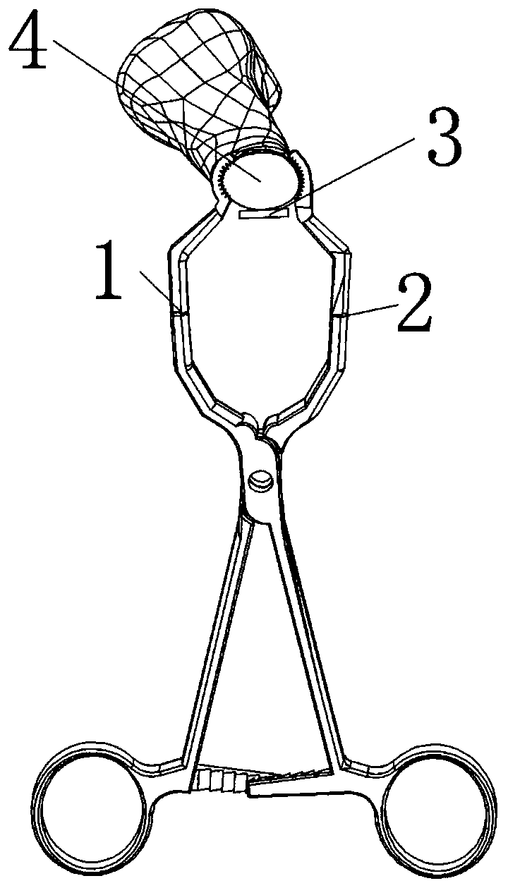 Clavicle fracture reduction apparatus