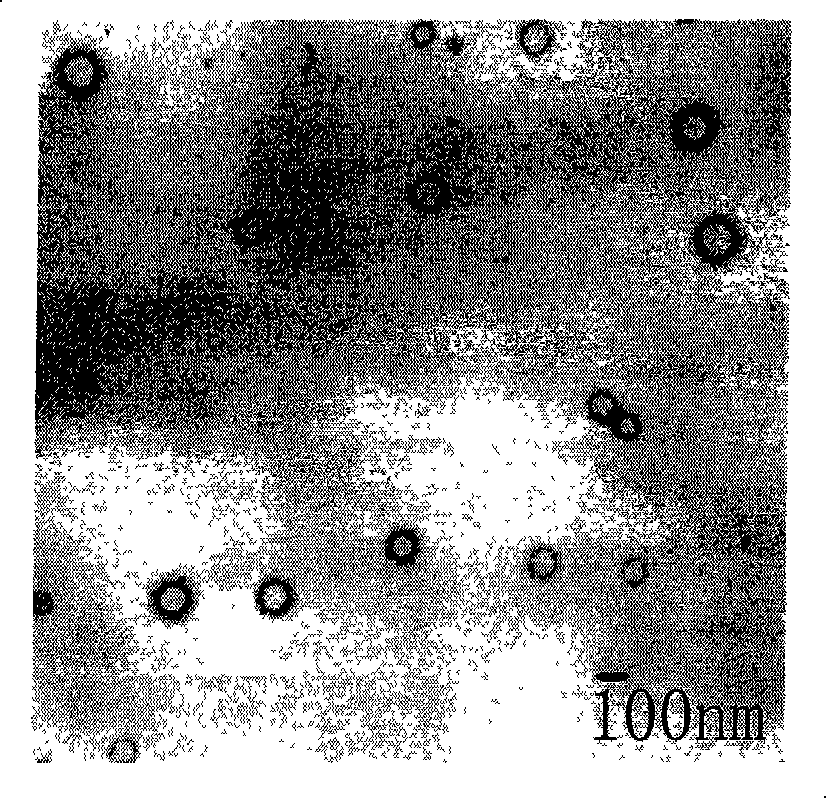 Hyperbranched polymer and preparation method and application thereof