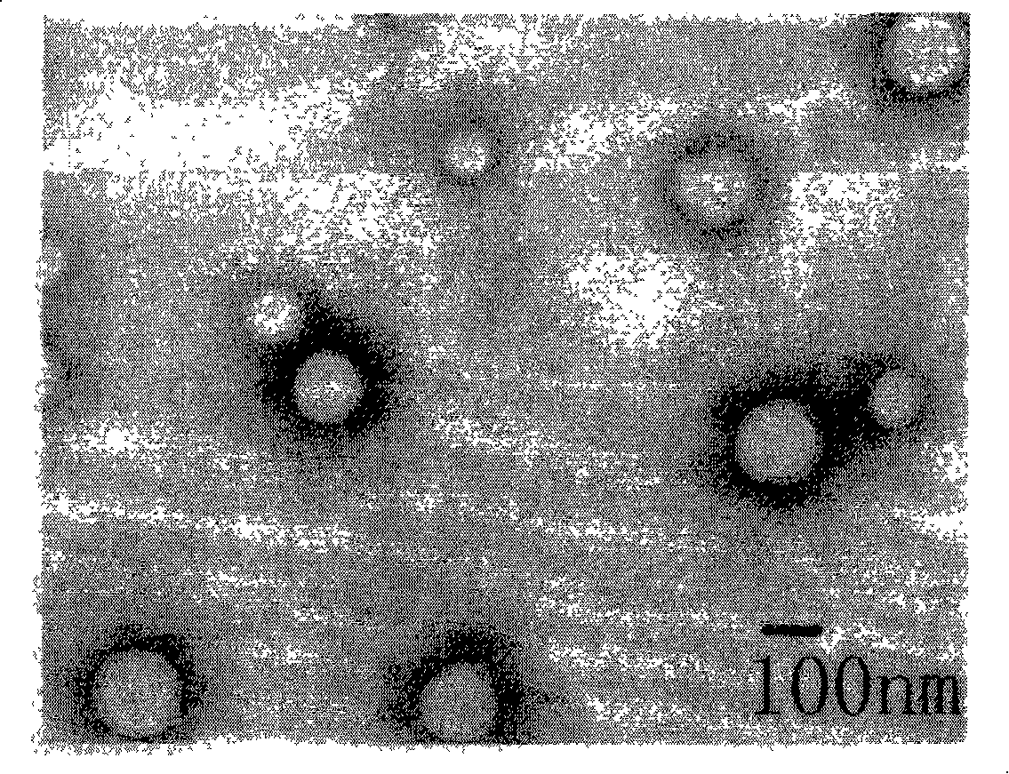 Hyperbranched polymer and preparation method and application thereof