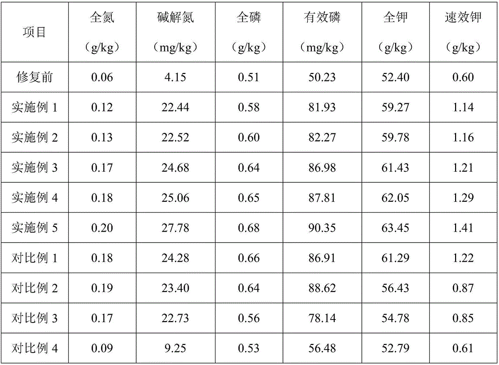 Chromium pollution soil restoration agent, and preparation method and application thereof