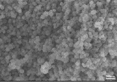 Preparation method of pyrite-type ferrous disulfide nanoscale single-crystal semiconductor material