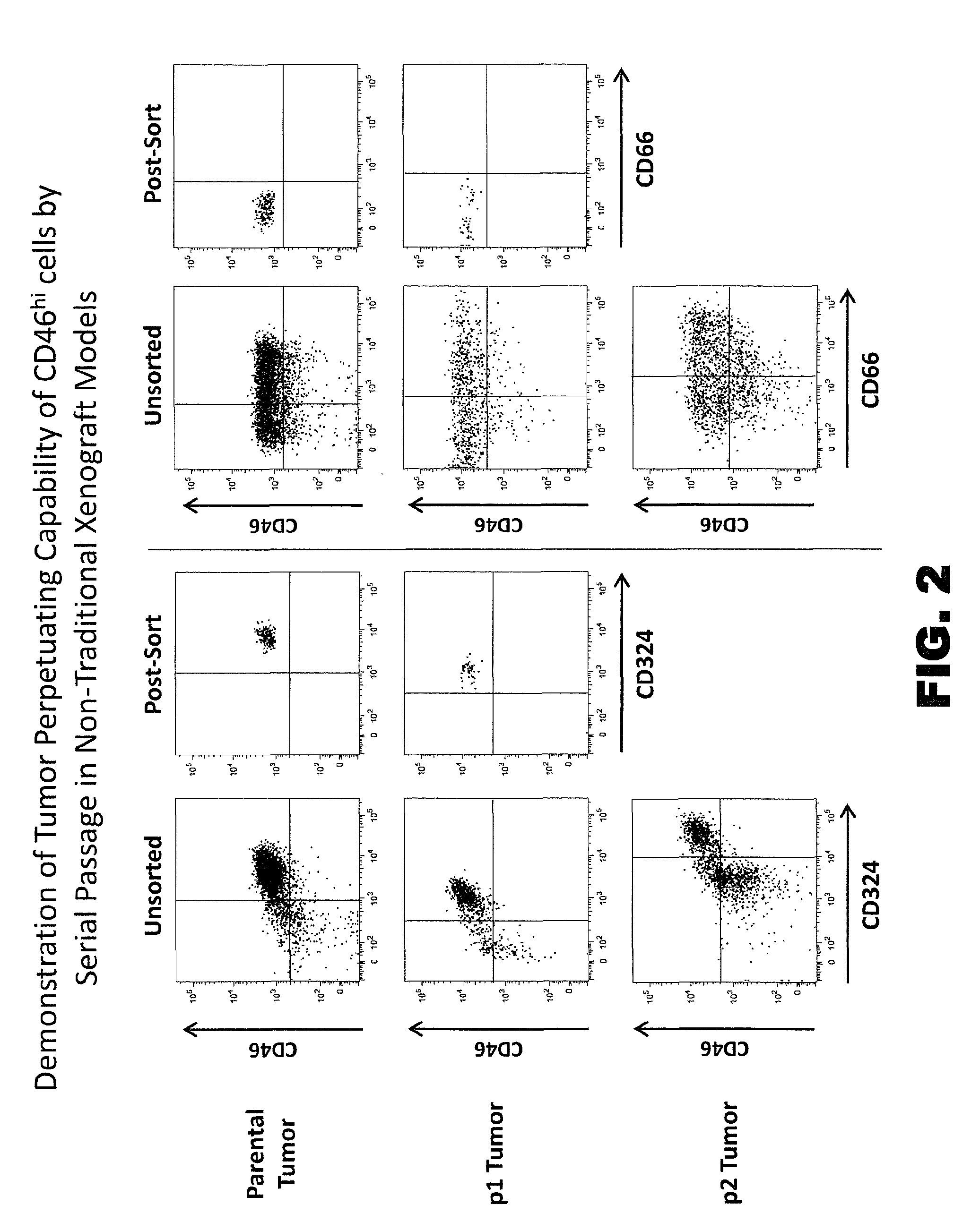 Modulators and methods of use