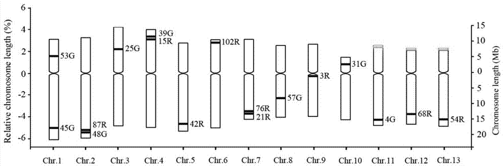 BAC markers for distinguishing 13 pairs of sesame chromosomes