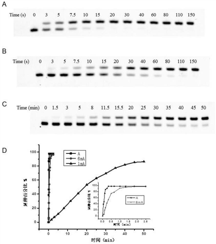 A method for detecting the methylation modification at N6 or N1 position of adenine in nucleic acid by using dutp or dttp