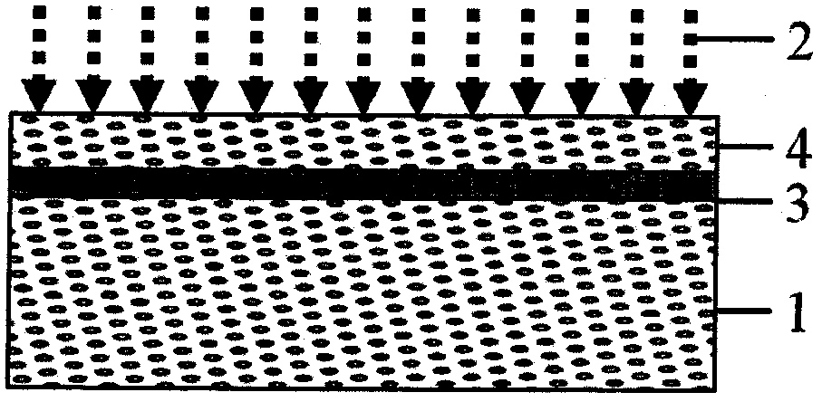 Method of manufacturing ZnO strip waveguide by carbon ion beam irradiation