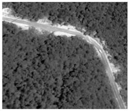 An ecological impact assessment system for road construction projects in nature reserves