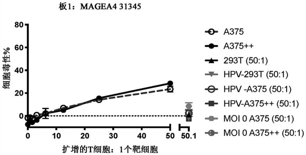 Chimeric antigen receptor with MAGE-A4 specificity and application thereof