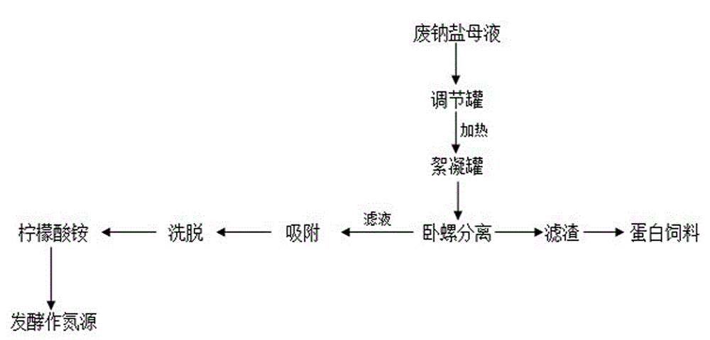 Treatment process for waste sodium citrate mother solution