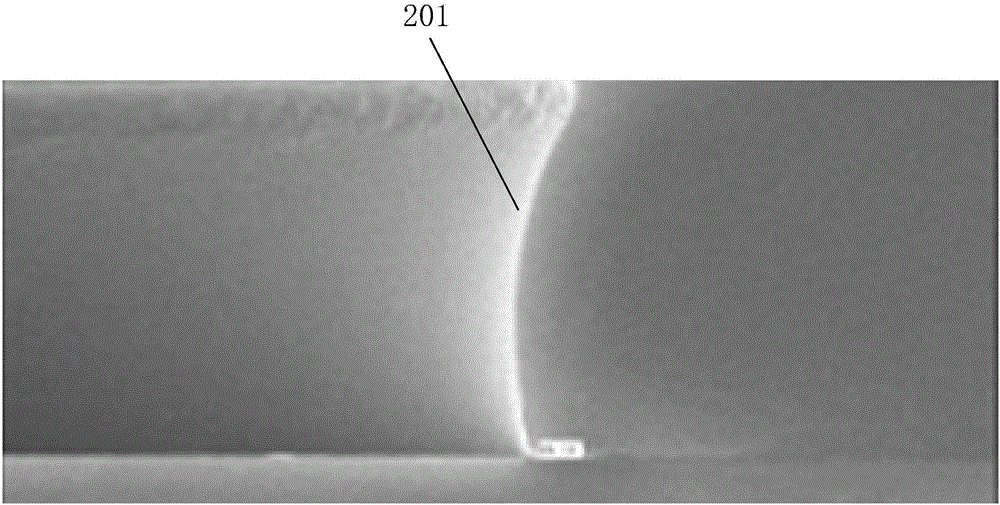 Photomask structure and COA-type array substrate