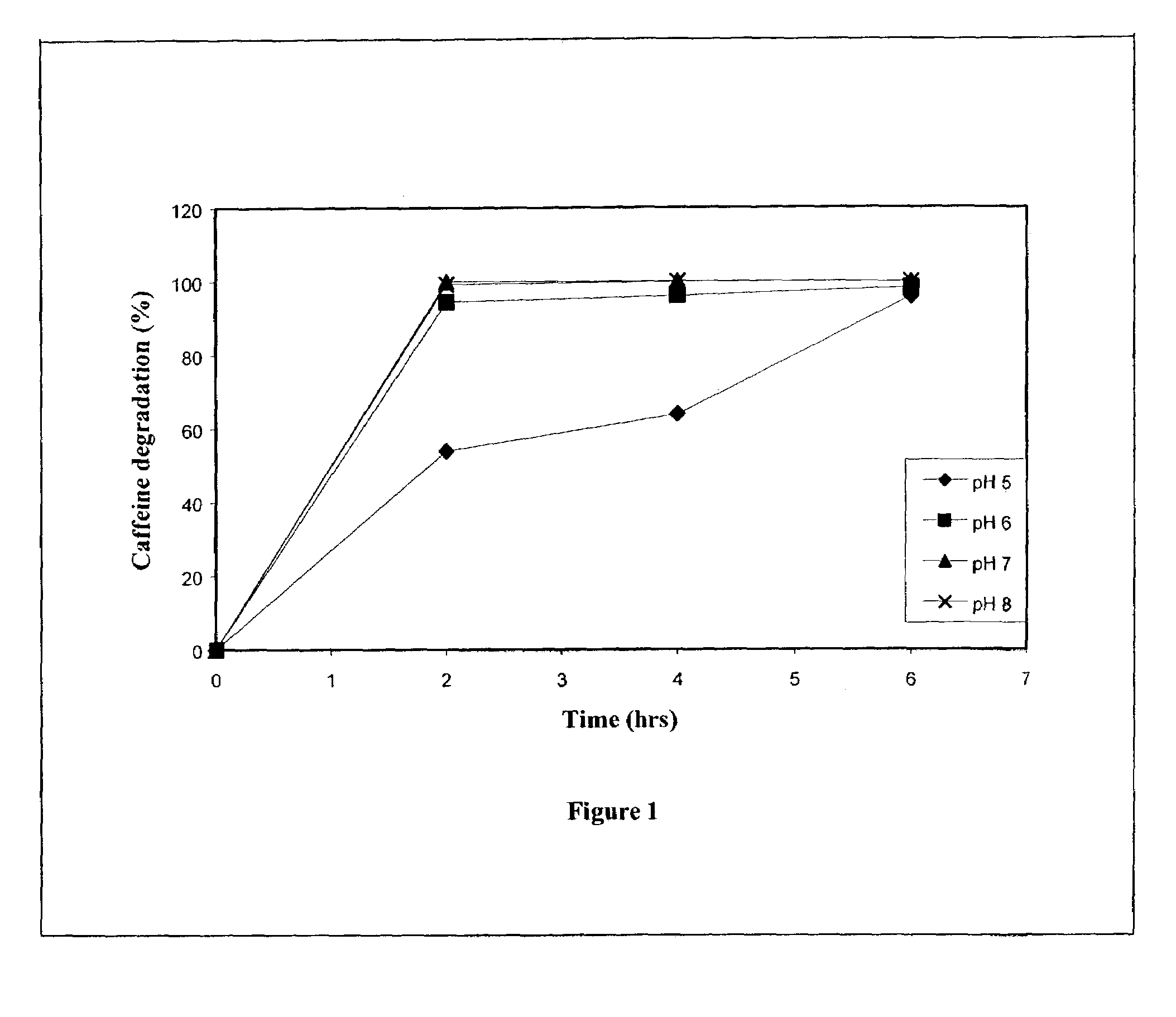 Decaffeinating microorganism and process of bio-decaffeination of caffeine containing solutions