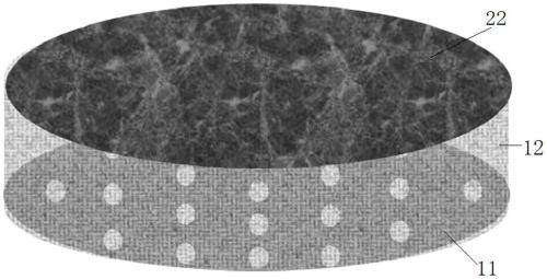 Device for treating nitrogen-and-phosphorus-rich wastewater by utilizing microalgae