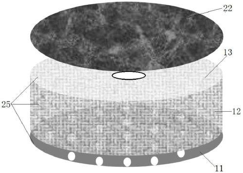 Device for treating nitrogen-and-phosphorus-rich wastewater by utilizing microalgae