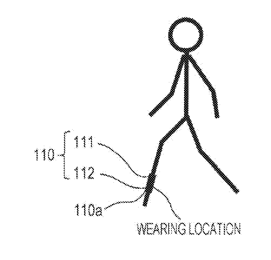 Exercise test evaluation system, exercise test evaluation apparatus, exercise test evaluation method, and non-transitory computer readable recording medium