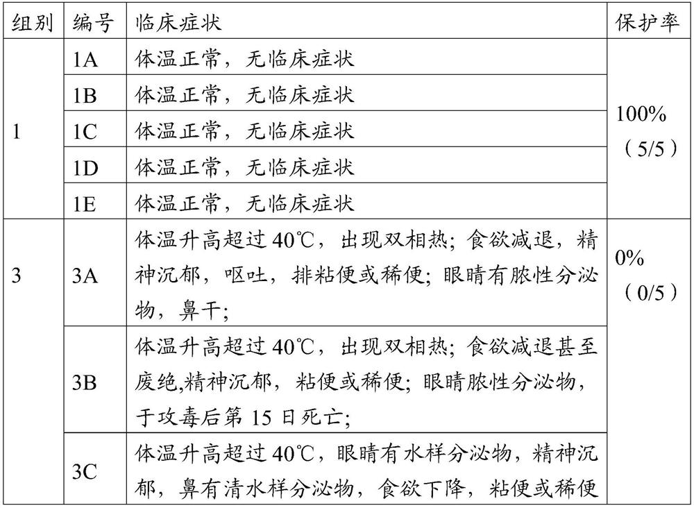 Canine distemper attenuated strain as well as vaccine composition prepared from same and application