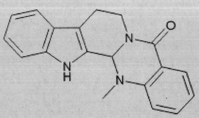 Application of evodiamine in preparing medicine for inhibiting aryl hydrocarbon receptor