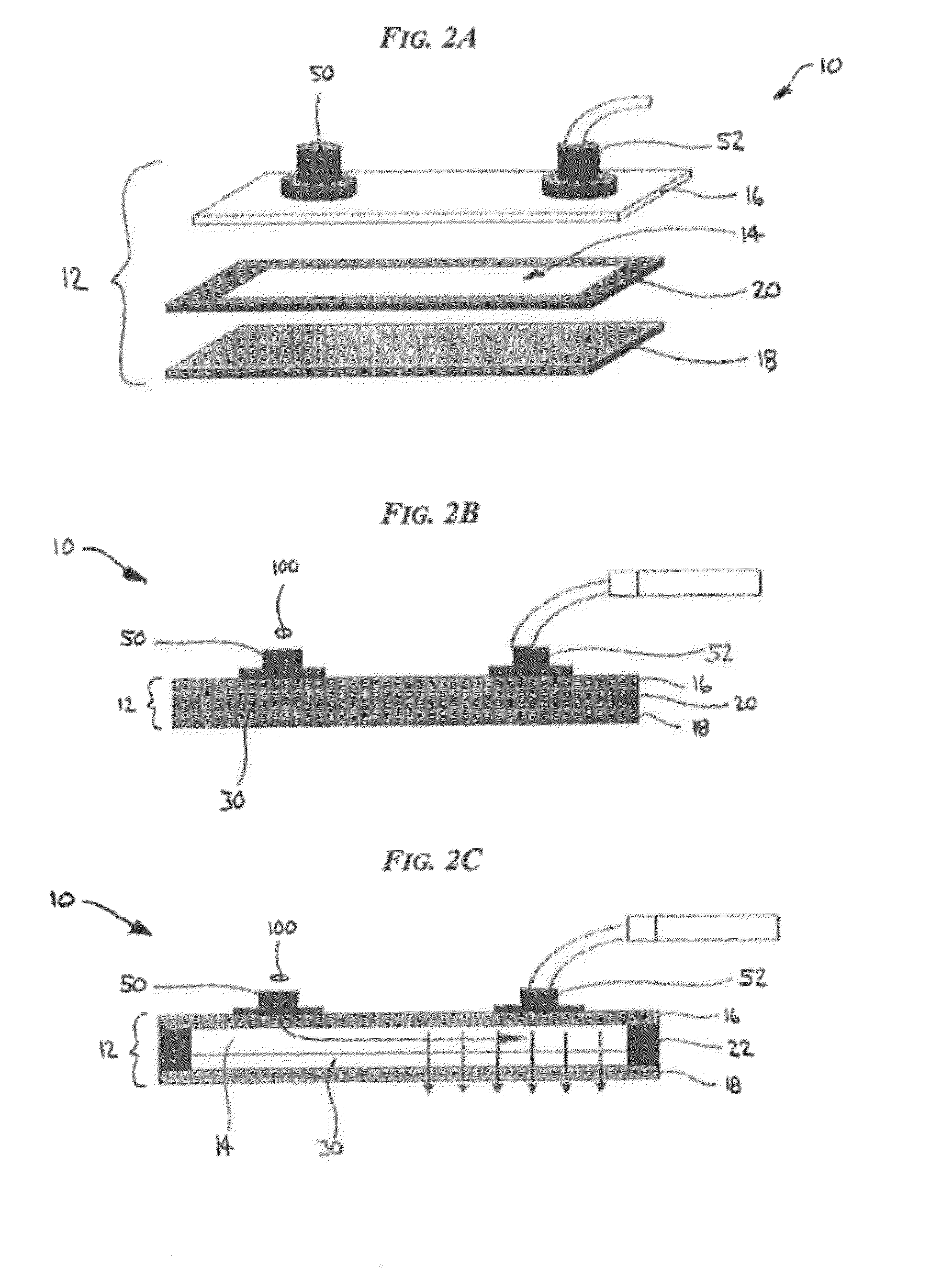 Devices and processes for analyzing nucleic acid damage and repair using electrophoresis
