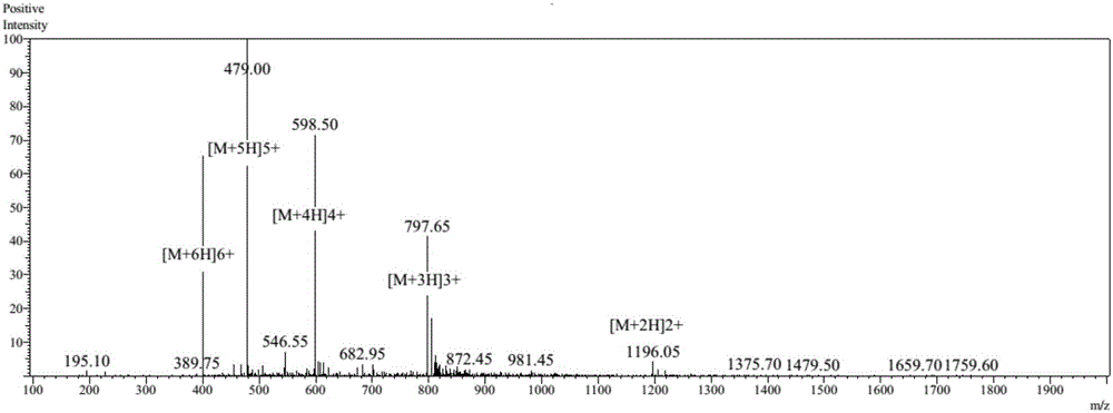 Grouper piscidin 4 polypeptide and application thereof