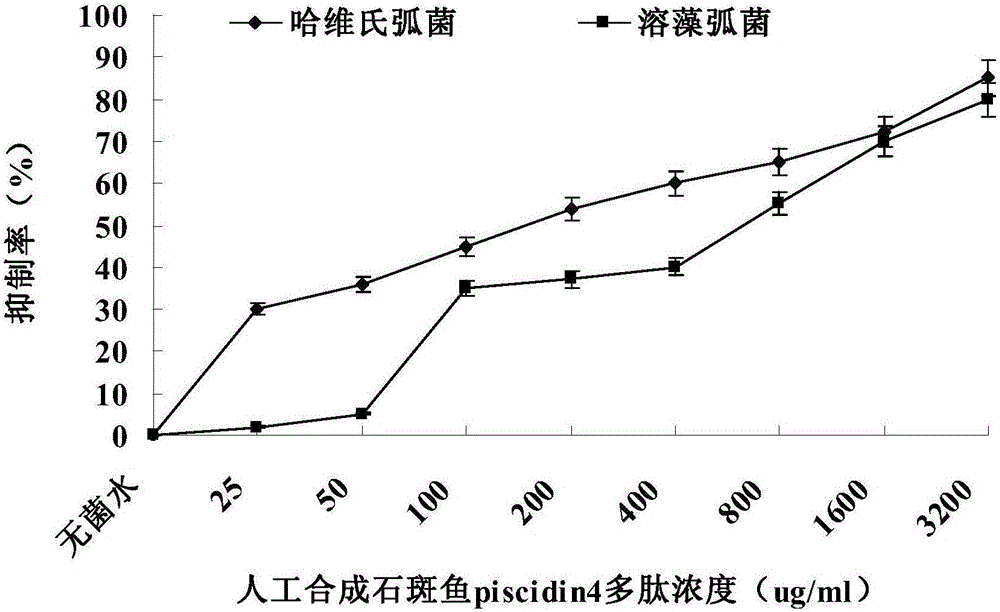 Grouper piscidin 4 polypeptide and application thereof