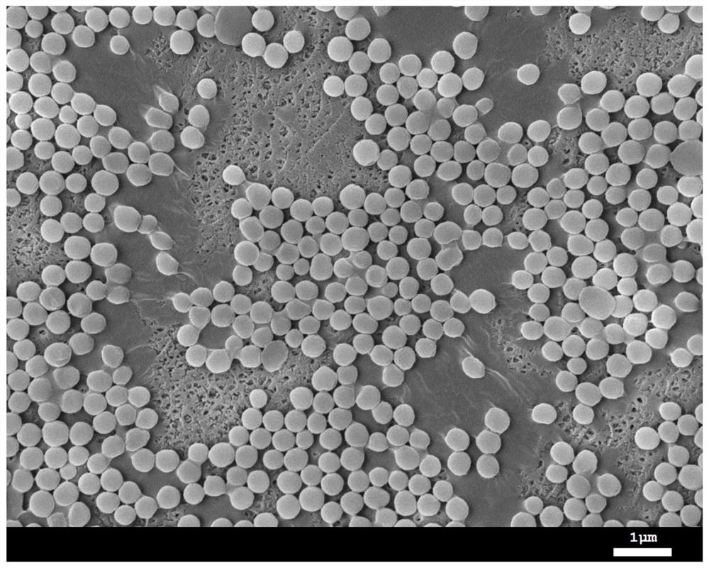 Organic-inorganic composite microsphere, battery diaphragm, preparation method of organic-inorganic composite microsphere, preparation method of battery diaphragm and battery