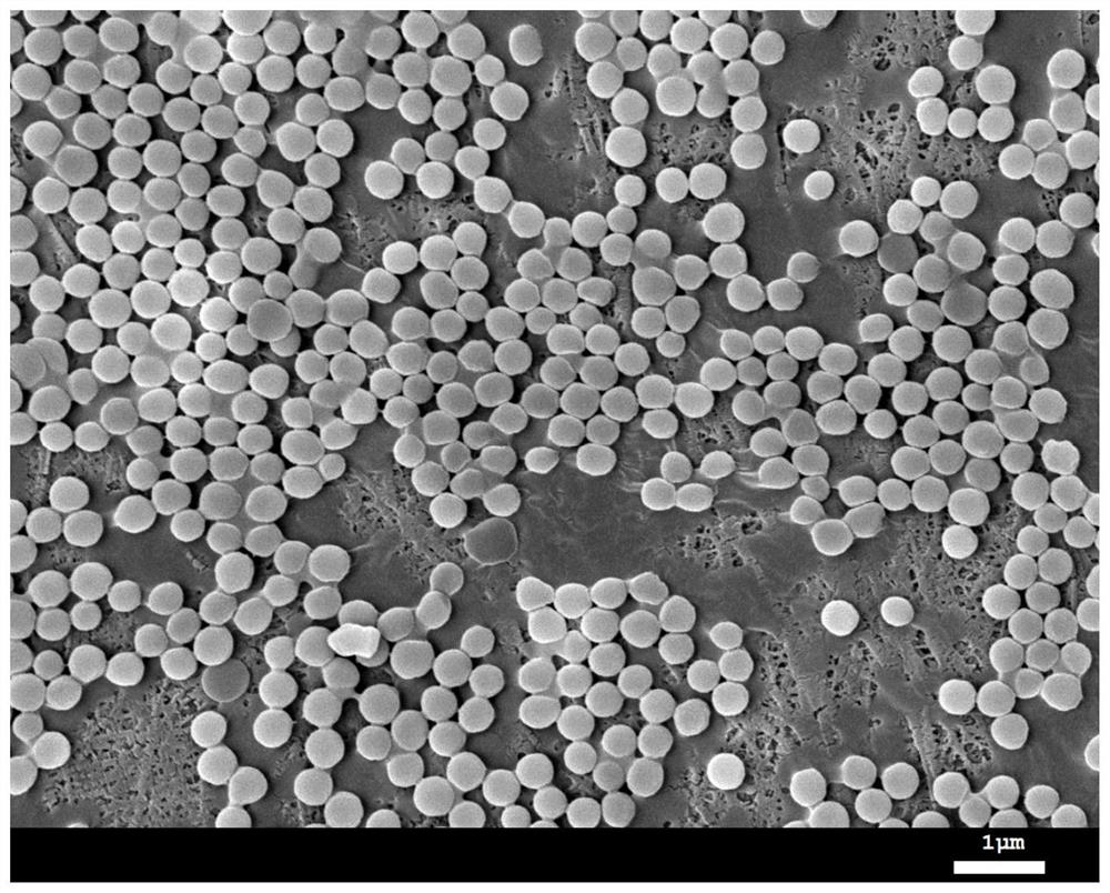 Organic-inorganic composite microsphere, battery diaphragm, preparation method of organic-inorganic composite microsphere, preparation method of battery diaphragm and battery