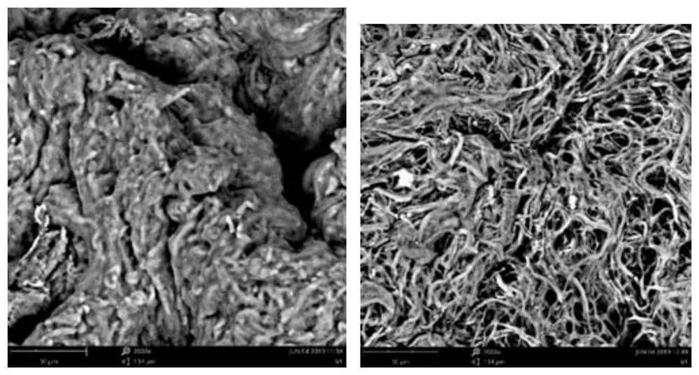 A method and application of preparing white rot fungus liquid culture medium from tanning waste