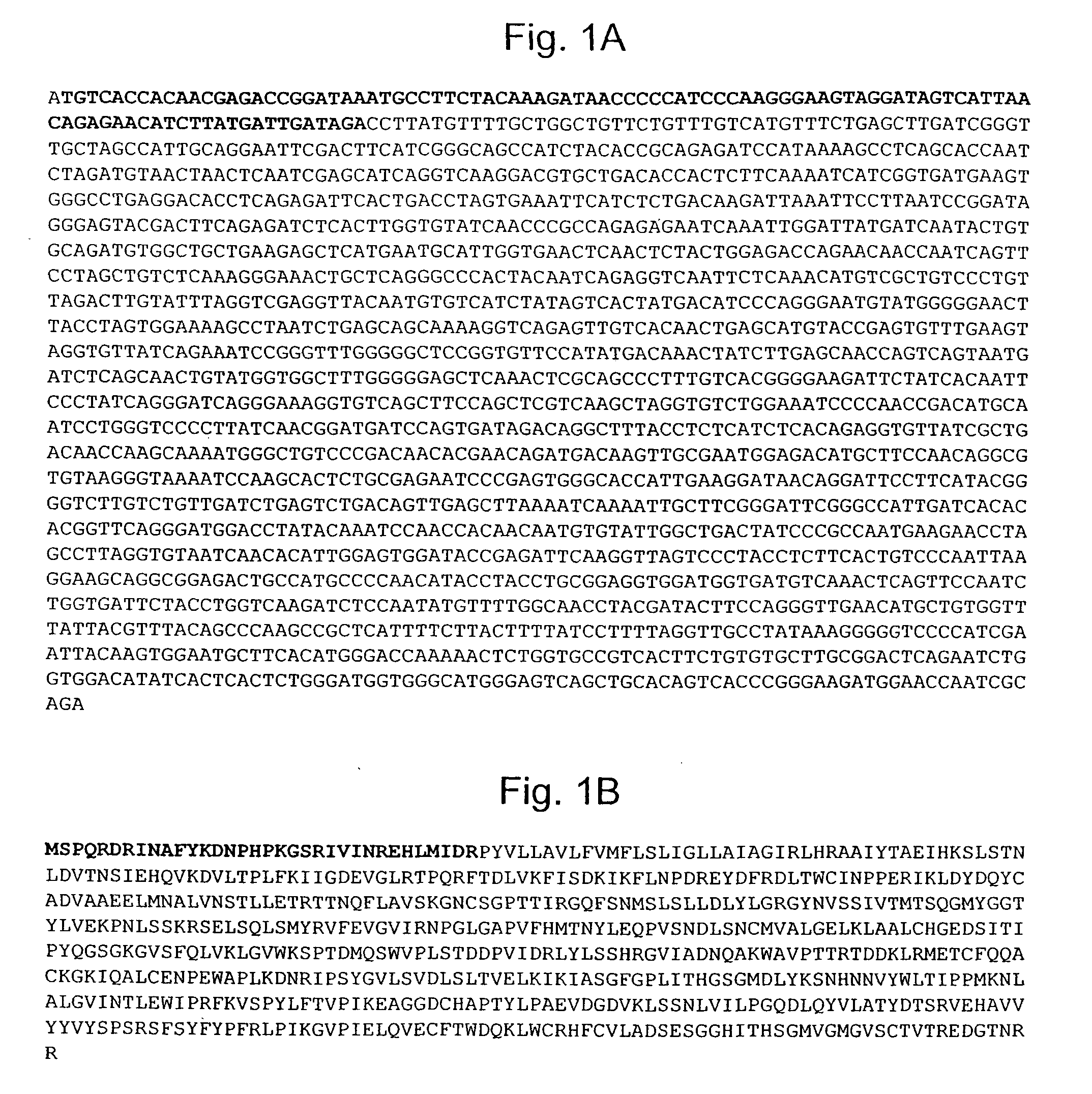 Pseudotyping of retroviral vectors, methods for production and use thereof for targeted gene transfer and high throughput screening
