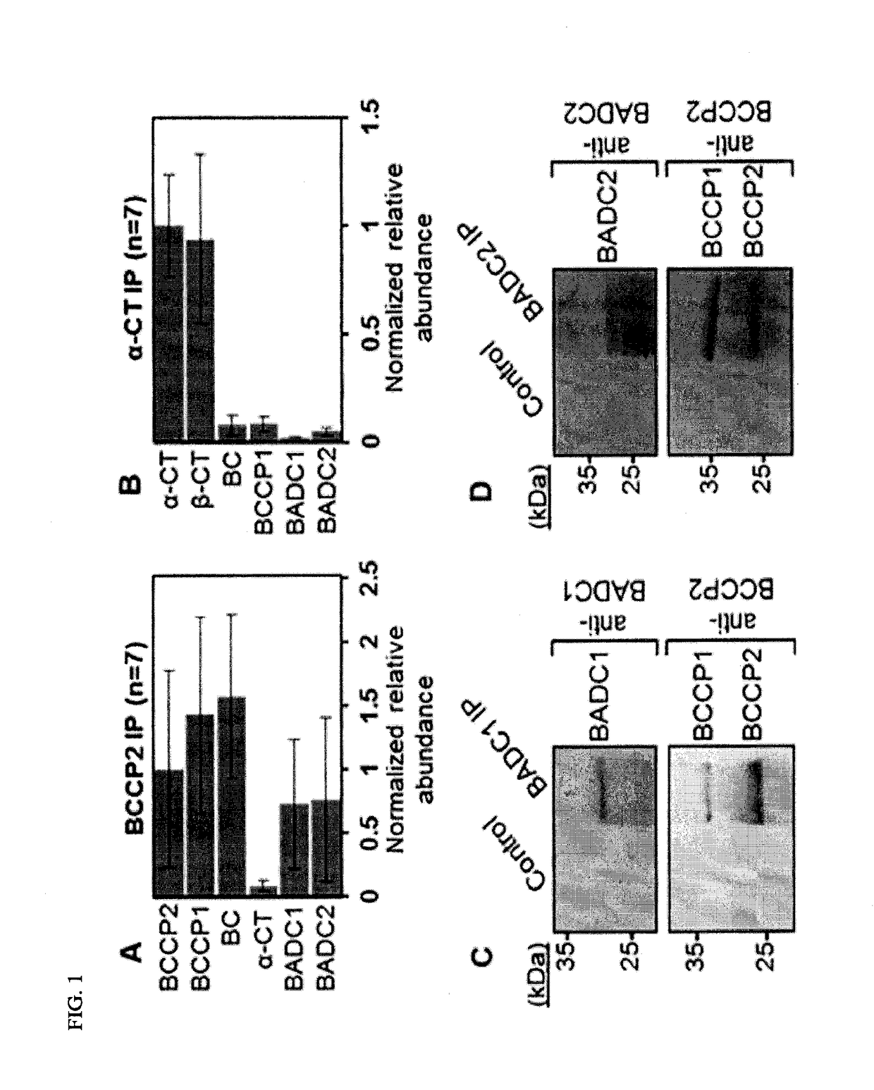 Increasing plant oil content by altering a negative regulator of acetyl-coa carboxylase