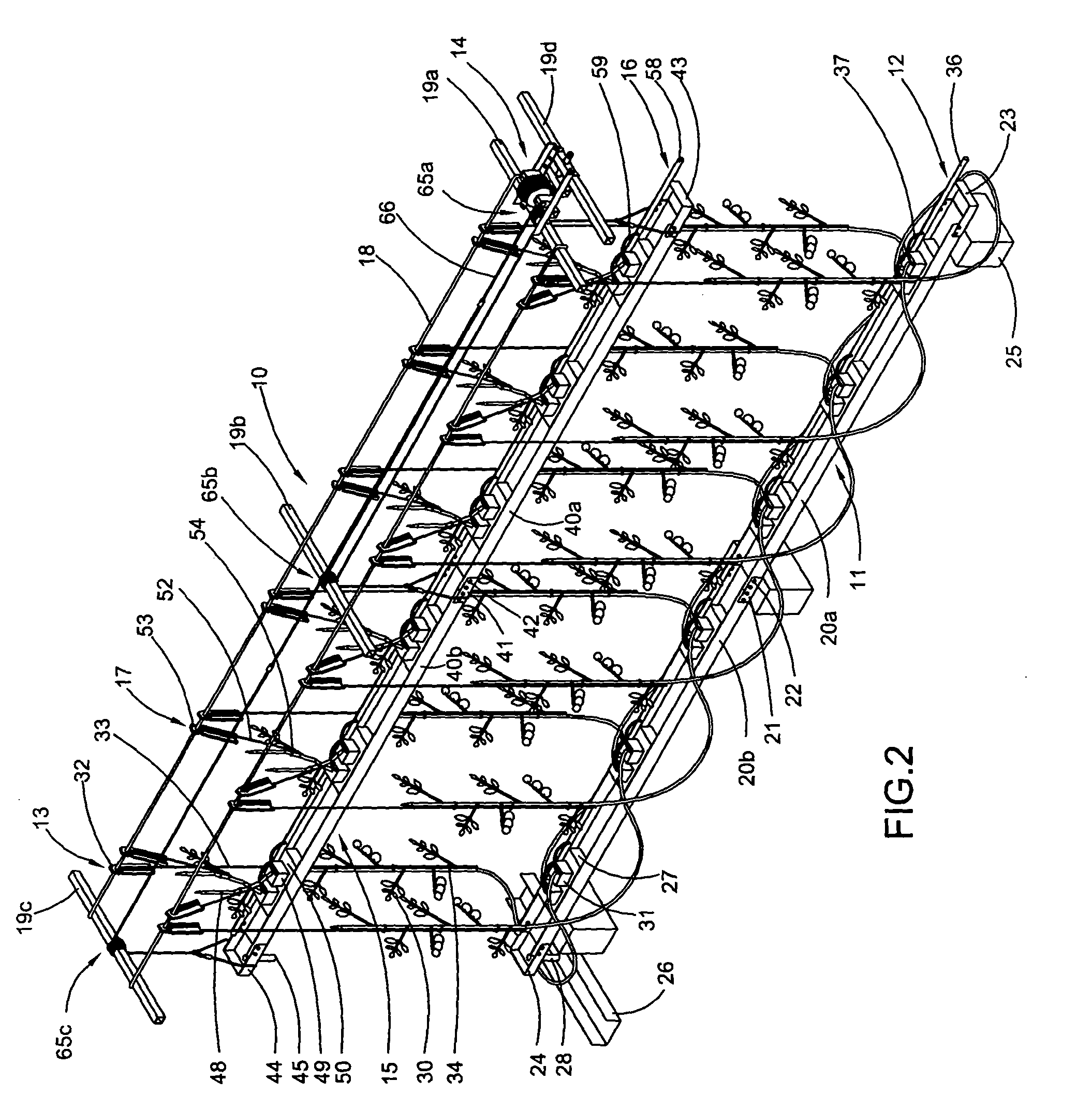 Method and apparatus for growing vine crops in a greenhouse