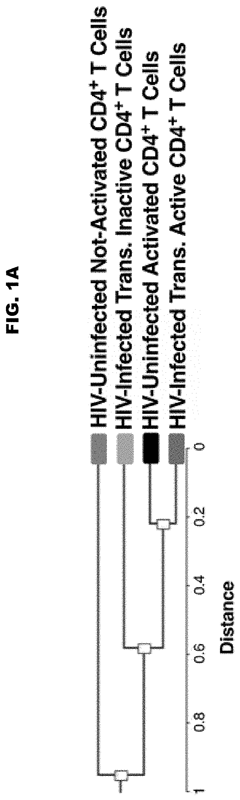 Methods and compositions for reducing numbers or eliminating hiv-infected cells