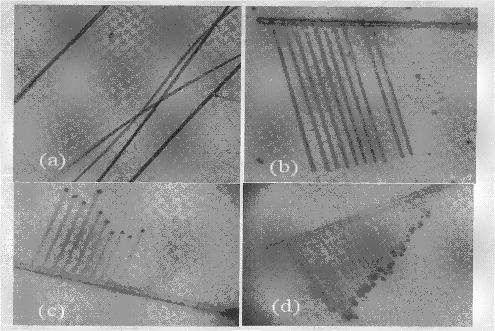 Use of photochromic cadmium sulfide comb-shaped semiconductor micro-nano material