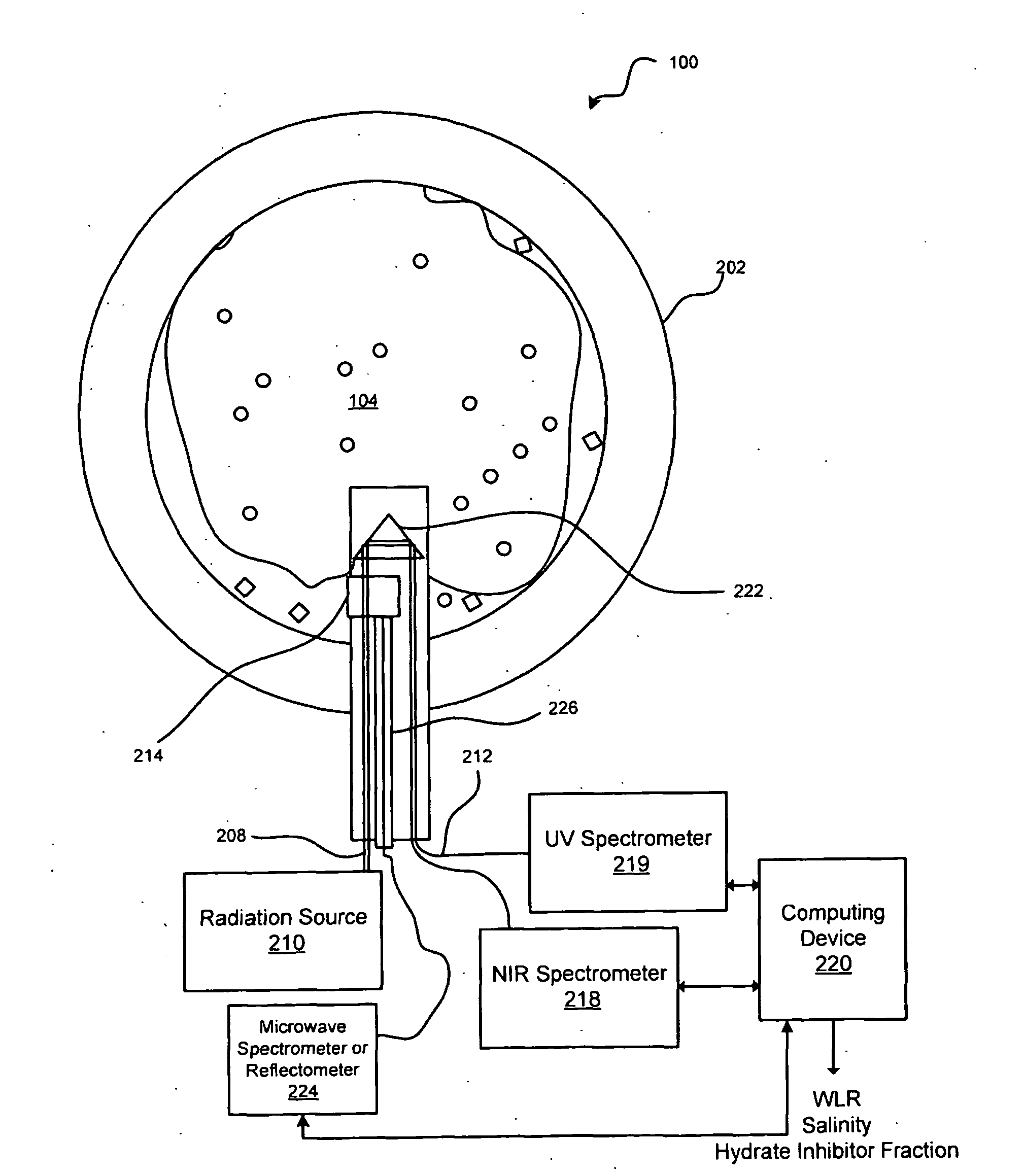 Immersion probe for multi-phase flow assurance