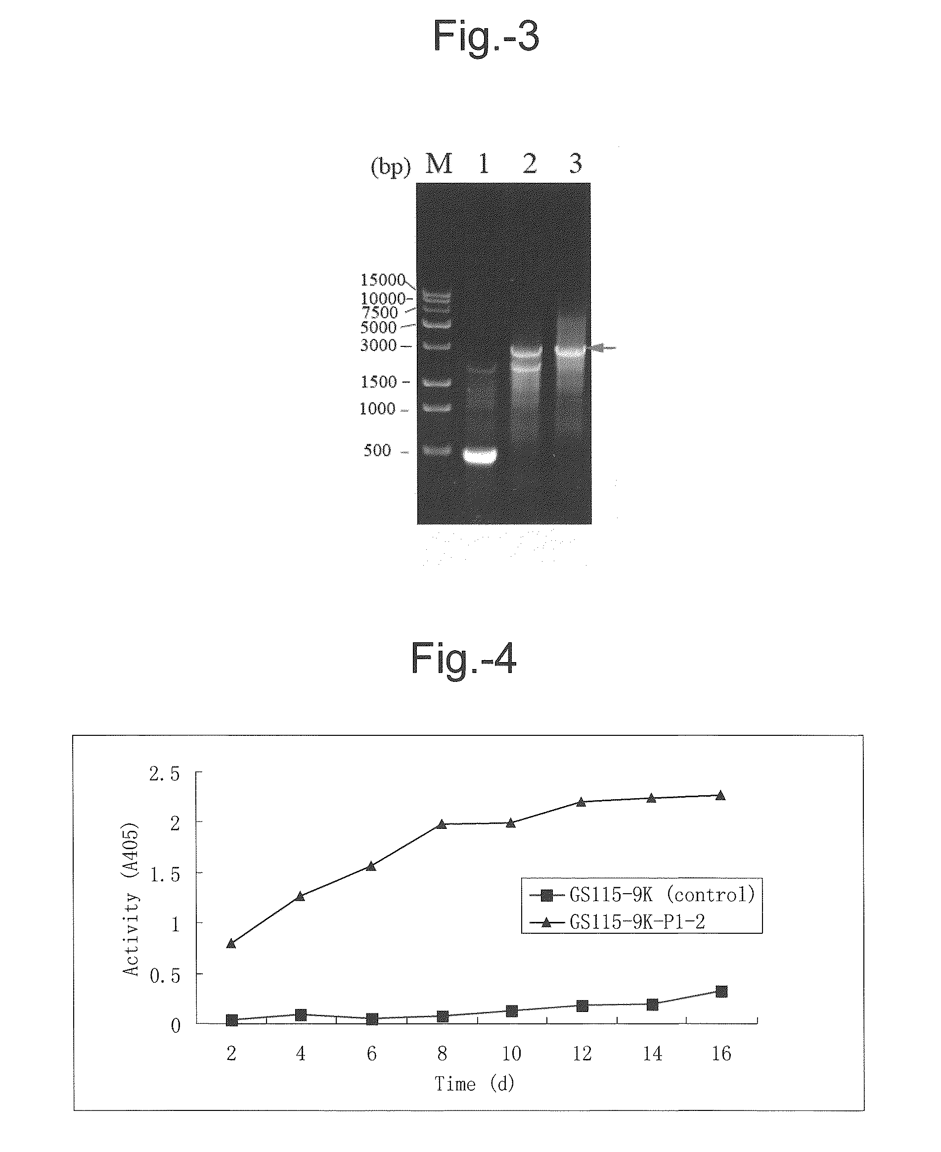 Glycosyl hydrolase with beta-xylosidase and beta-glucosidase activities and uses thereof