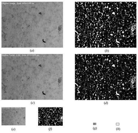 Dynamic Downsampling Image Segmentation Method