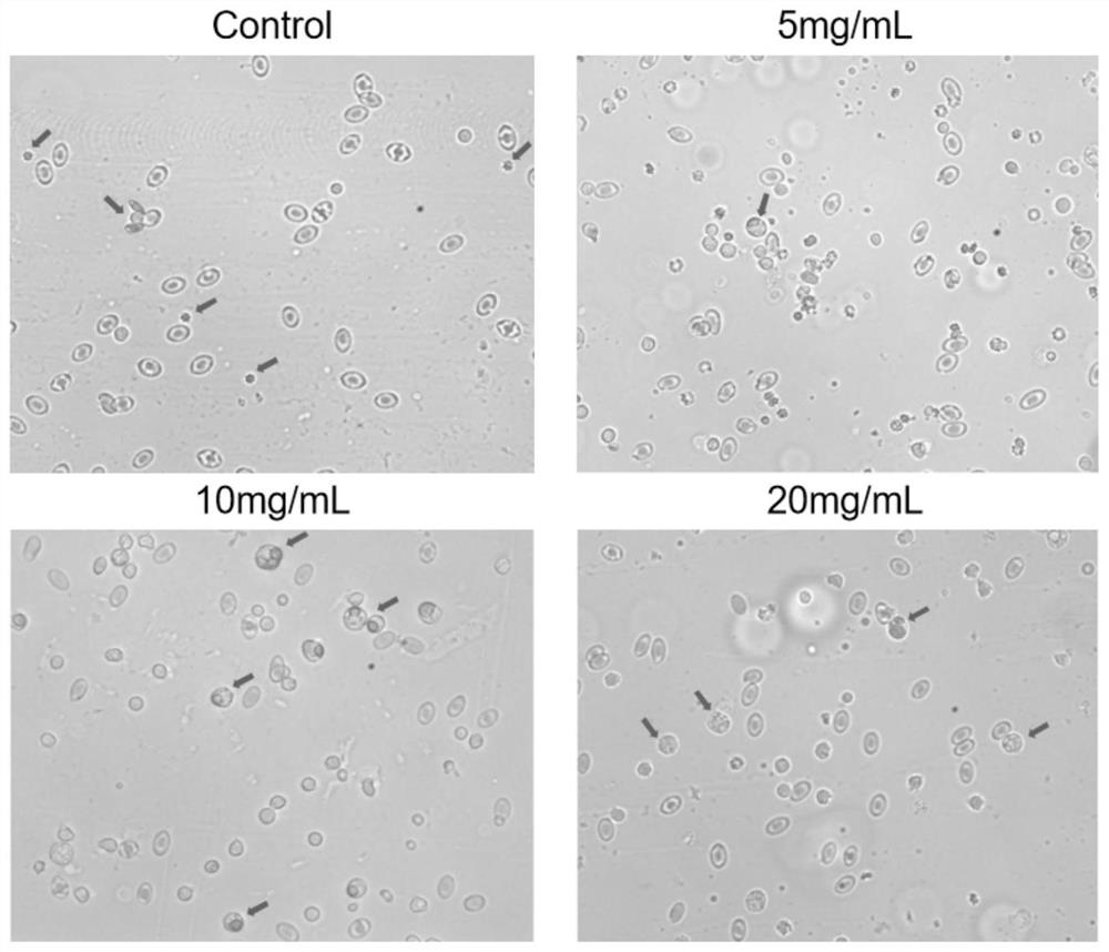 PD-1/PD-L1 inhibitor and application thereof