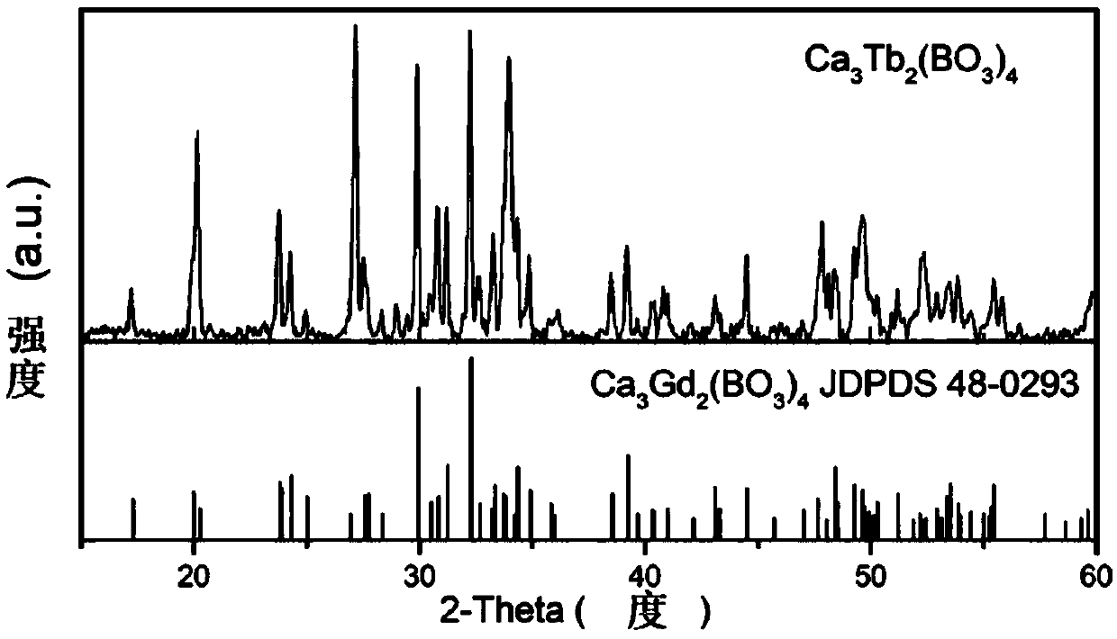 Tb3+ self-activated laser crystal, preparation method thereof and application in visible waveband solid laser