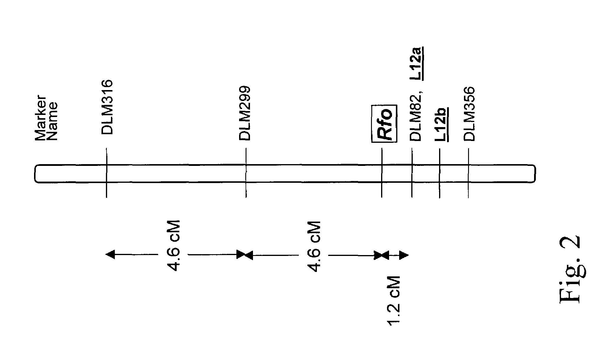 Nuclear fertility restorer genes and methods of use in plants