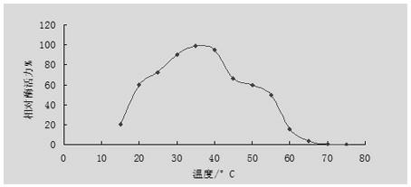 Laccase for biological treatment of papermaking wastewater and encoding gene as well as expression and application of encoding gene