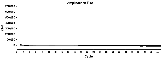 RT-PCR detection method and kit for novel coronavirus