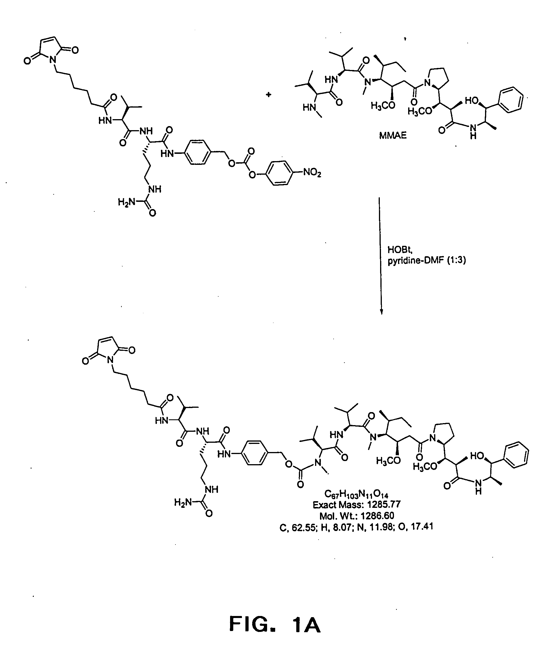 Anti-CD20 antibody-drug conjugates for the treatment of cancer and immune disorders