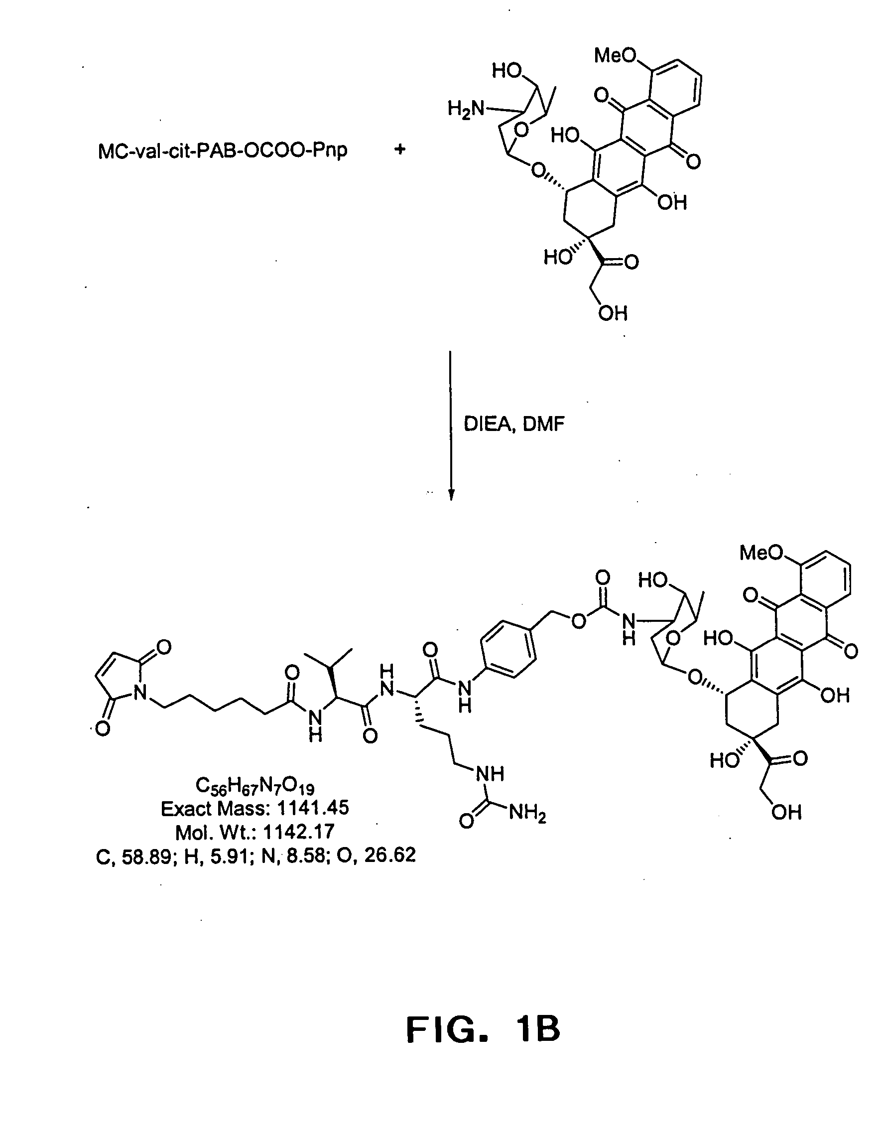 Anti-CD20 antibody-drug conjugates for the treatment of cancer and immune disorders