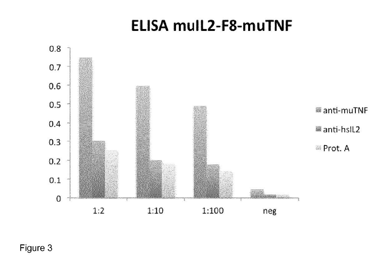 IL2 and TNF immunoconjugates