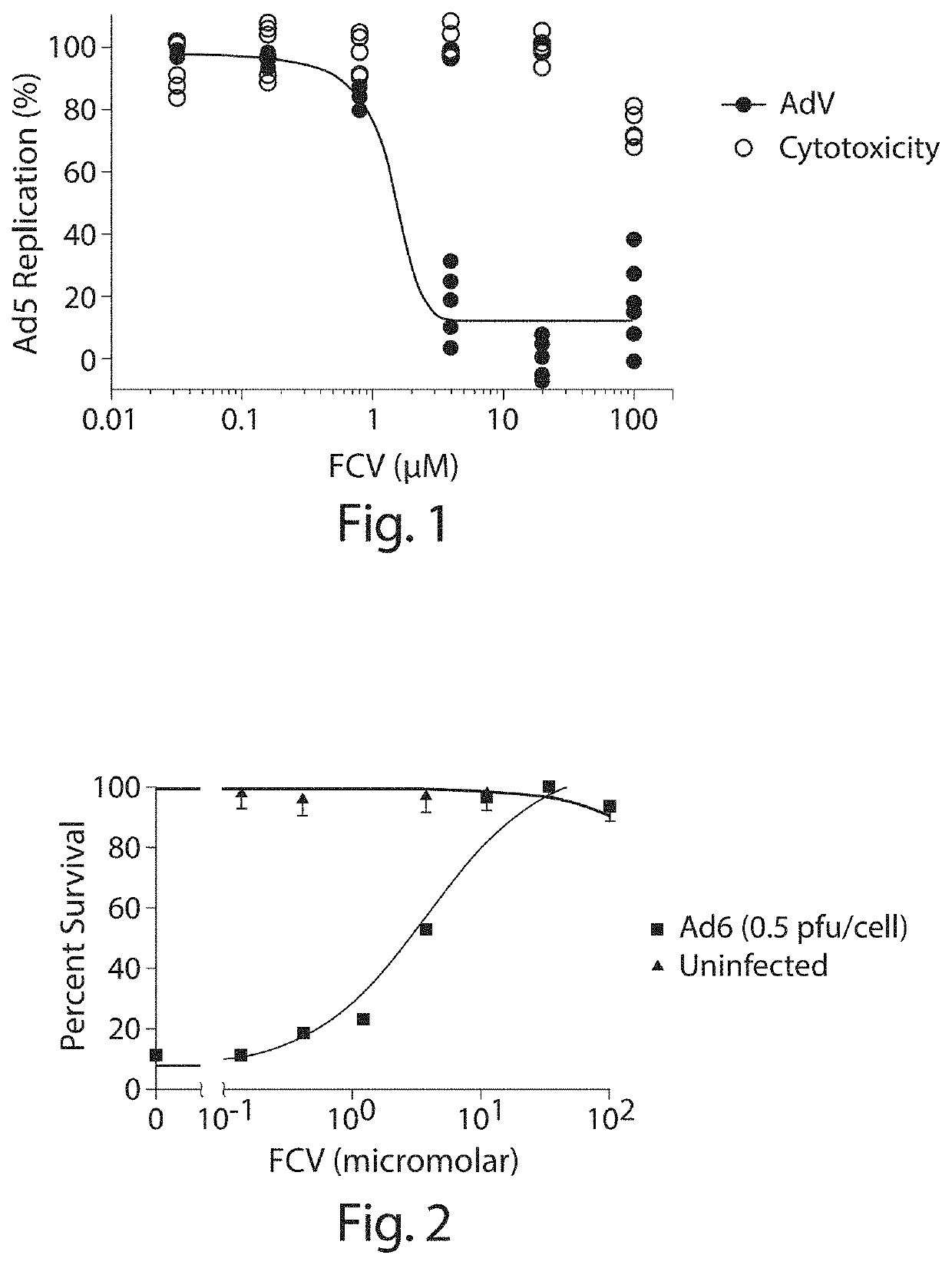 Inhibition of adenovirus with filociclovir