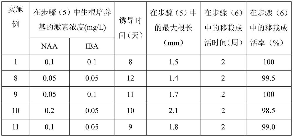 Method of Tissue Culture and Rapid Propagation of Weeping Flowers