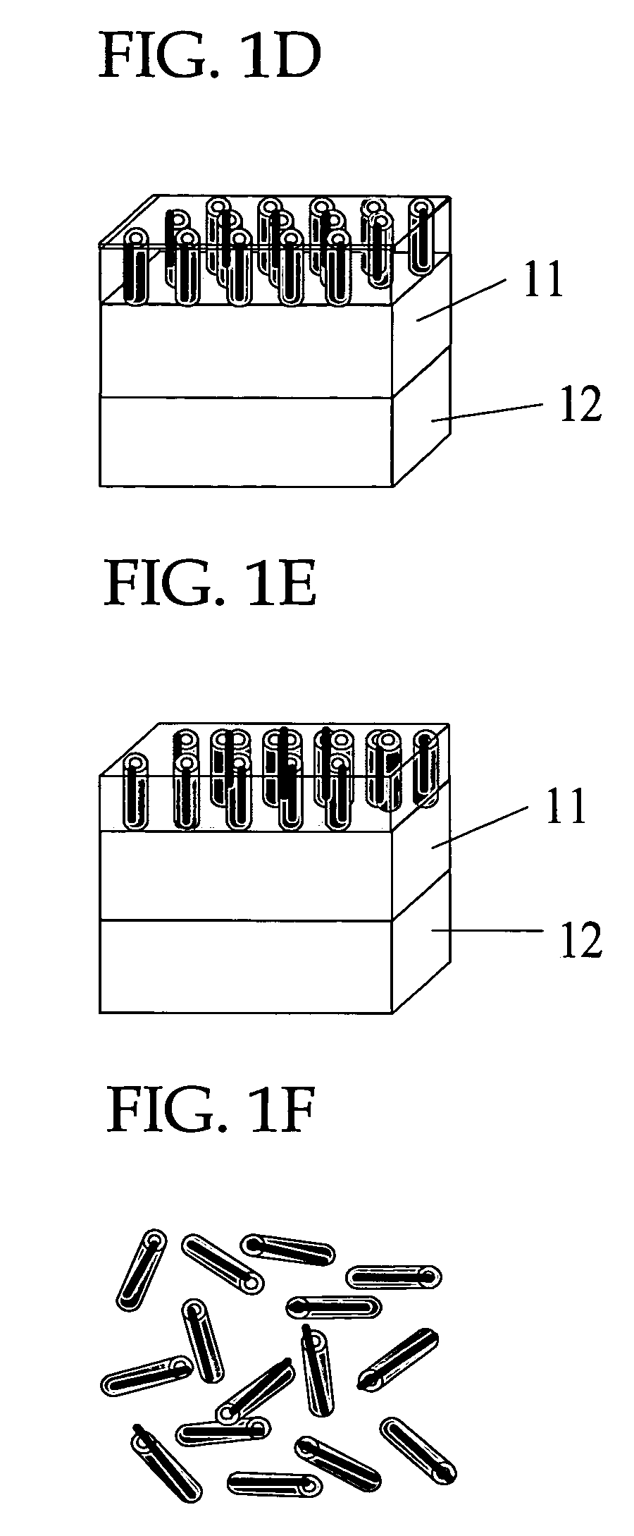 Carbon nanotube composite material comprising a continuous metal coating in the inner surface, magnetic material and production thereof