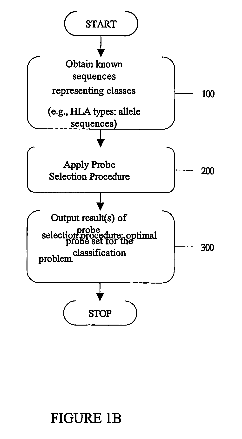Methods, software arrangements, storage media, and systems for genotyping or haplotyping polymorphic genetic loci or strain identification