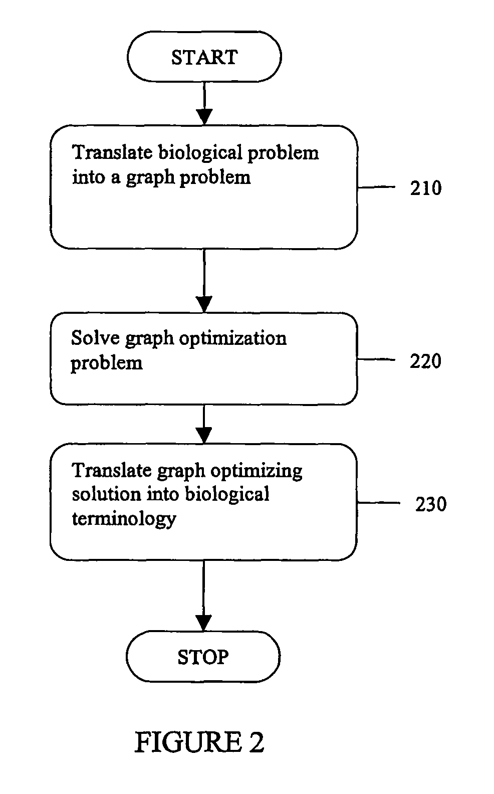 Methods, software arrangements, storage media, and systems for genotyping or haplotyping polymorphic genetic loci or strain identification