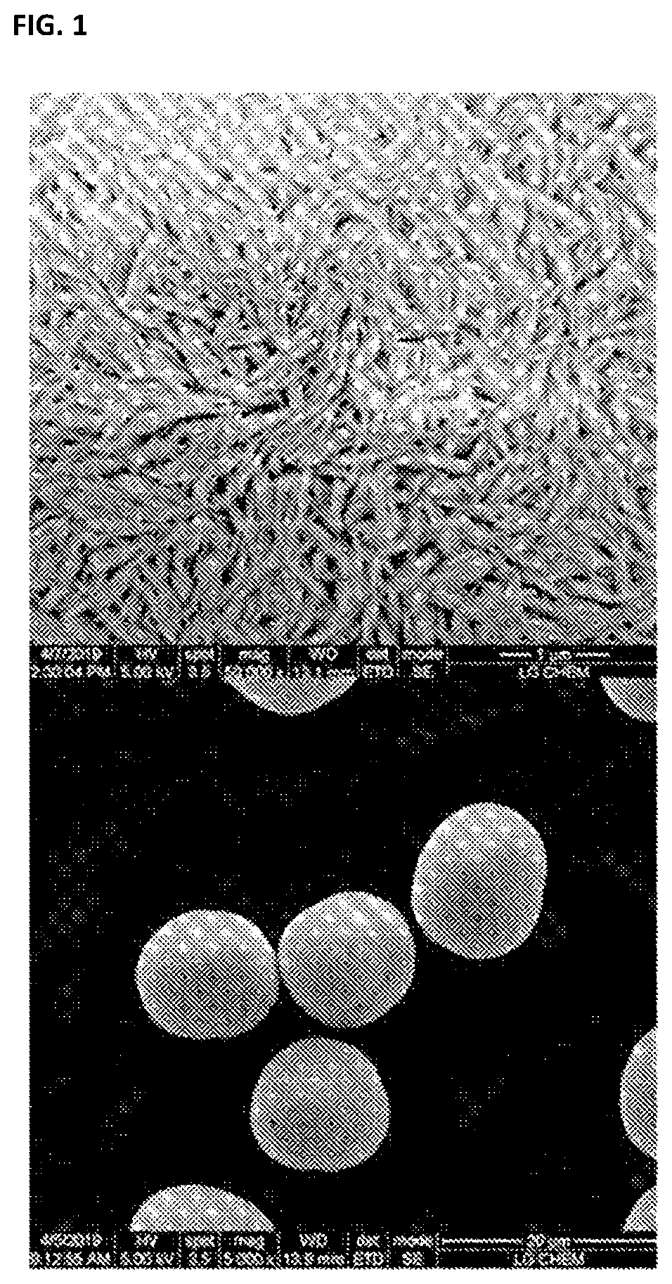 Positive Electrode Active Material Precursor for Secondary Battery, Preparation Method Thereof, and Method of Preparing Positive Electrode Active Material