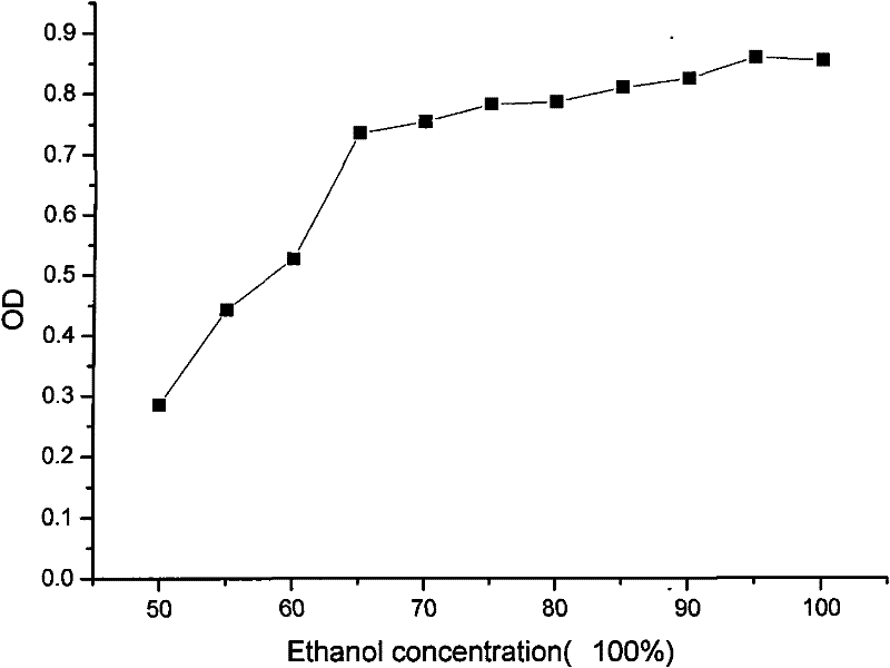 Corn steam explosion separation and endosperm multi-component co-production utilization technology thereof