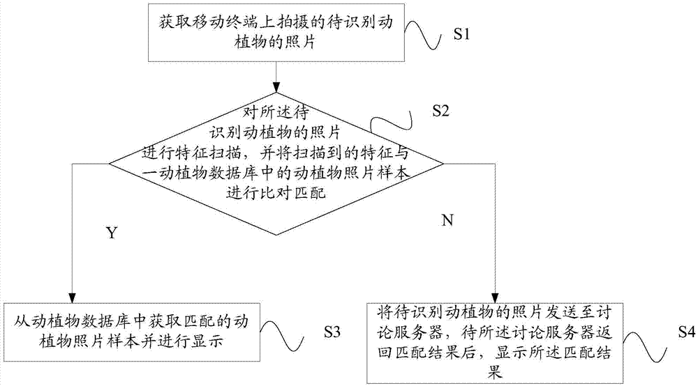 Animal/plant identification method and system for mobile terminal